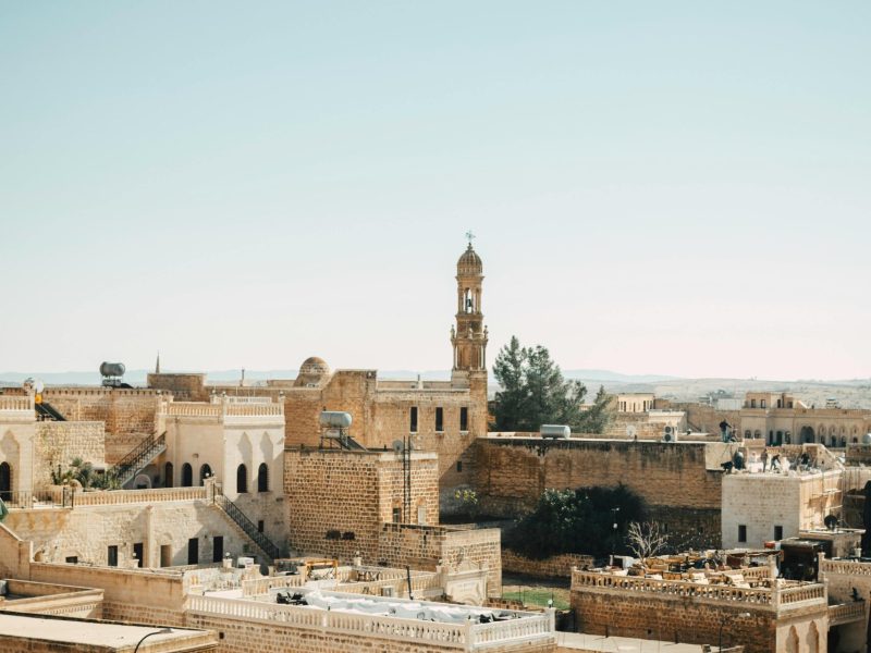 pexels-musaortac-29175800